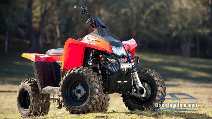 Polaris Trail Blazer 330