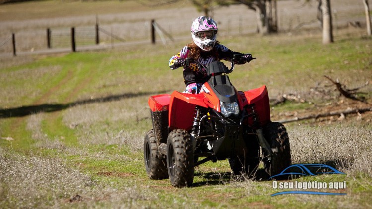 Polaris Trail Blazer 330