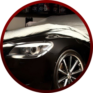 Temos o carro que estava &agrave; procura